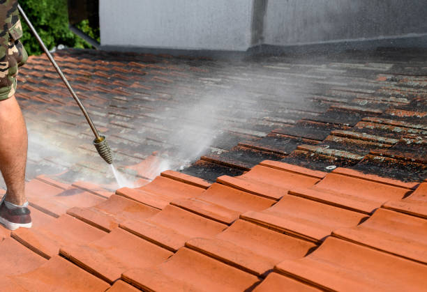 Best House Pressure Washing  in Hoer, OK