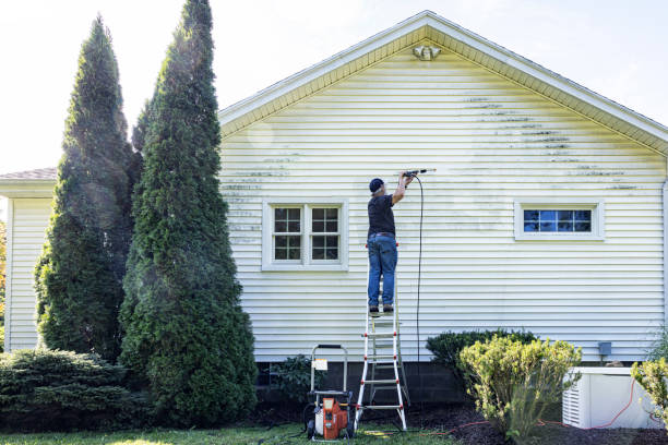 Best Roof Pressure Washing  in Hoer, OK